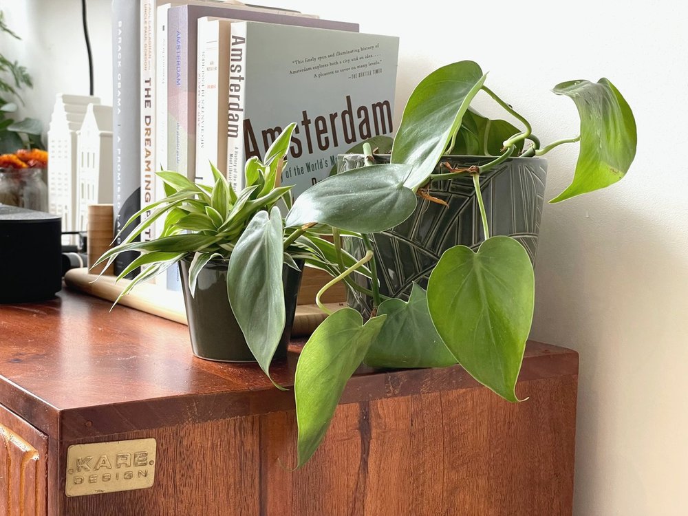 Kare sideboard with plants and Amsterdam books, living room detail, Oud-West - Ruimte interior design